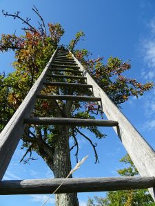 A ladder to climb